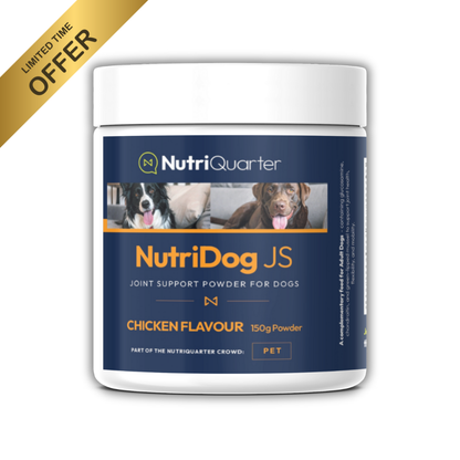 Pet Joint Support