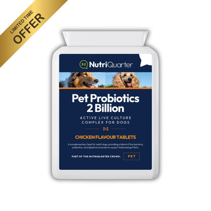 Pet Probiotics