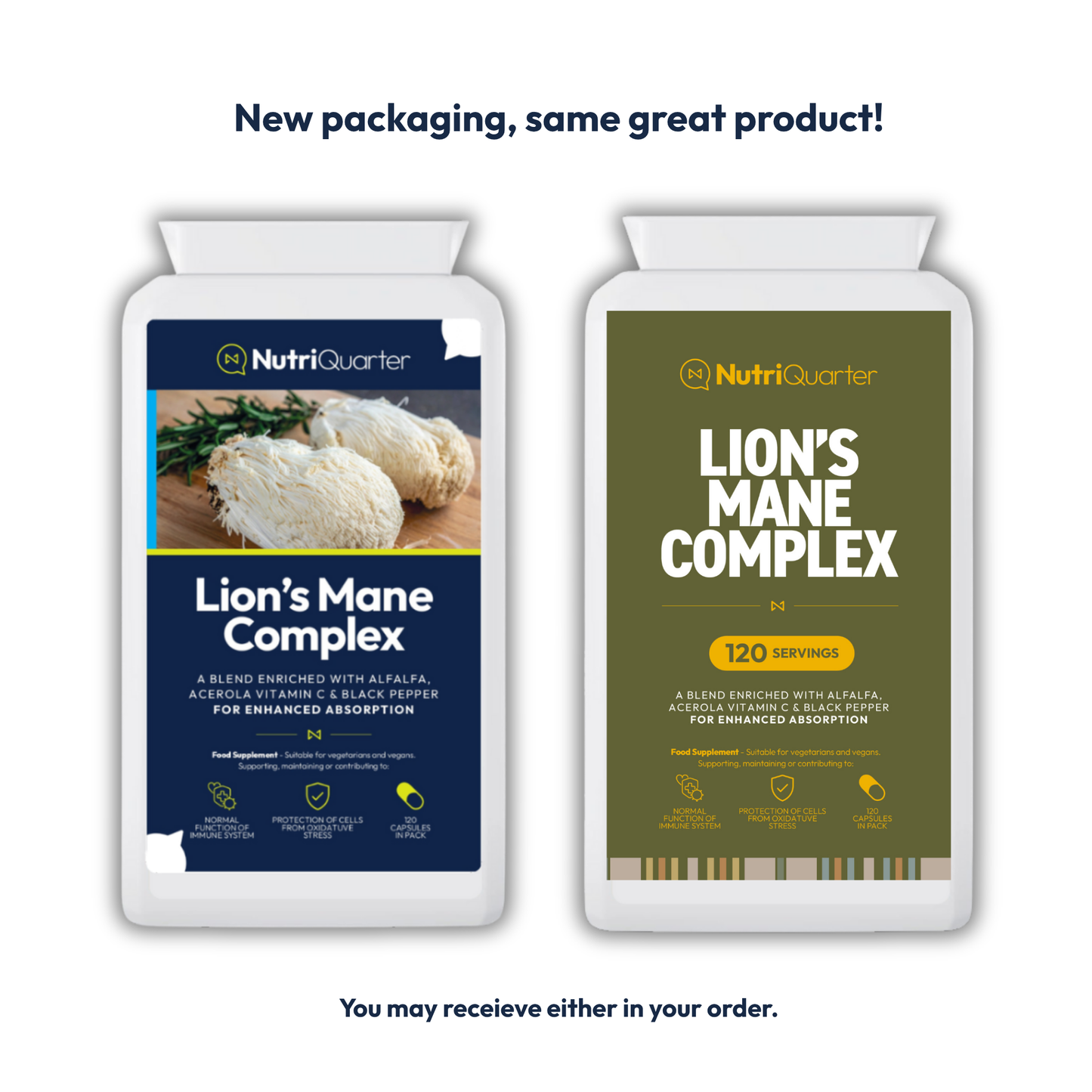 Lion's Mane Complex